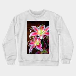 Pink Lily Lilium Herbaceous Flowering Plants Crewneck Sweatshirt